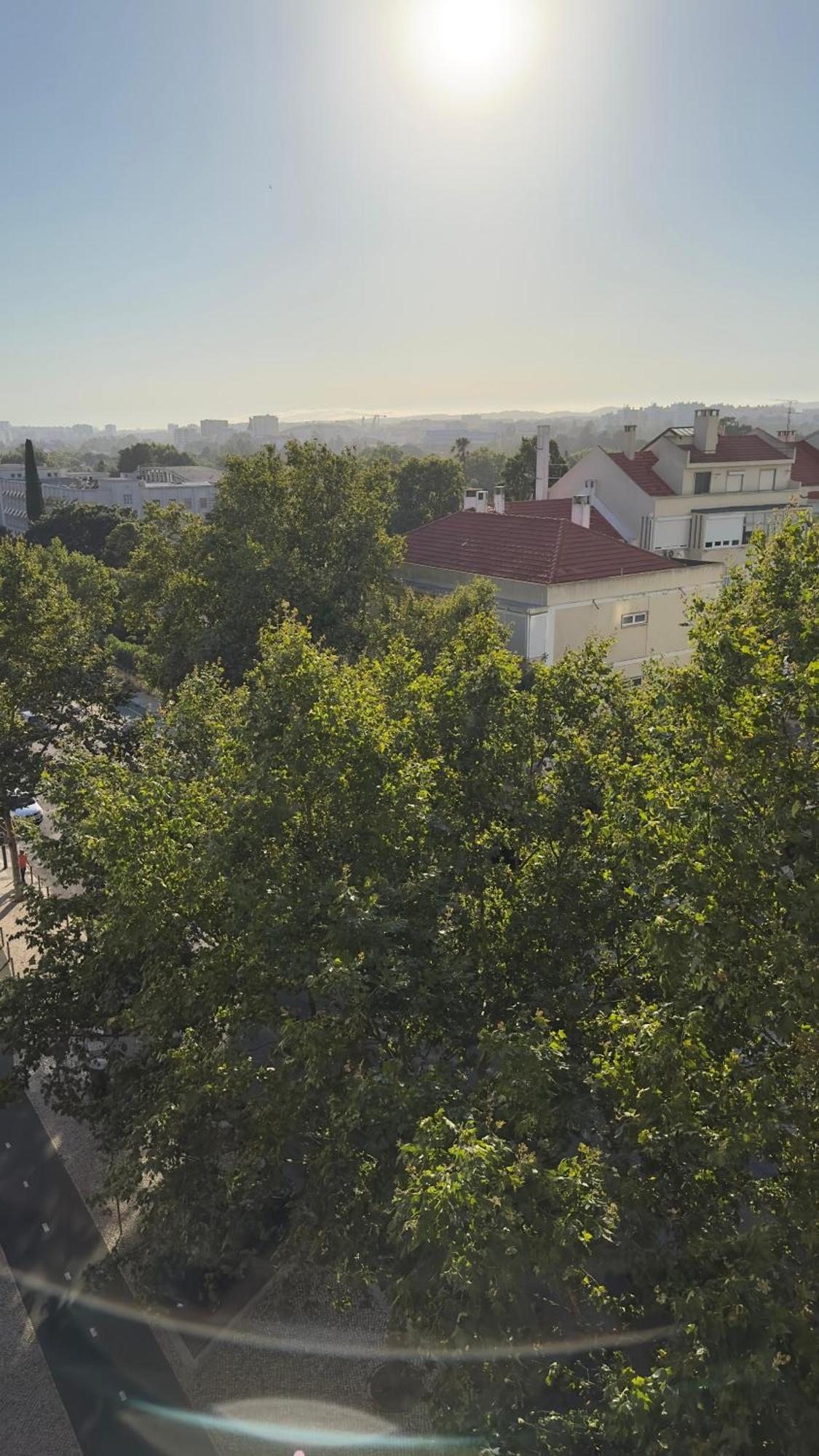 Apartment Alvalade *